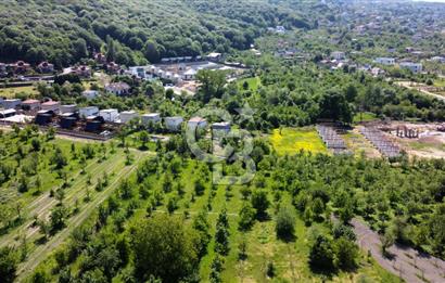 CB AKADEMİ MAŞUKİYE SATILIK 2200 m2 VİLLA İMARLI KÖŞE ARSA