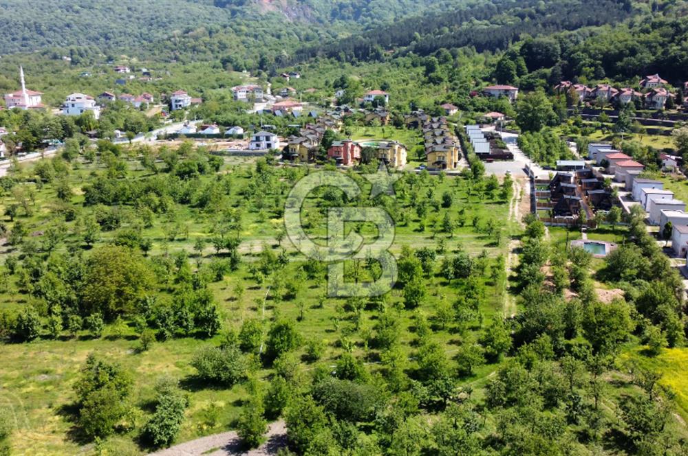 CB AKADEMİ MAŞUKİYE SATILIK 2200 m2 VİLLA İMARLI KÖŞE ARSA