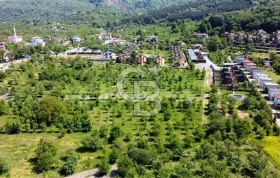 CB AKADEMİ MAŞUKİYE SATILIK 2200 m2 VİLLA İMARLI KÖŞE ARSA