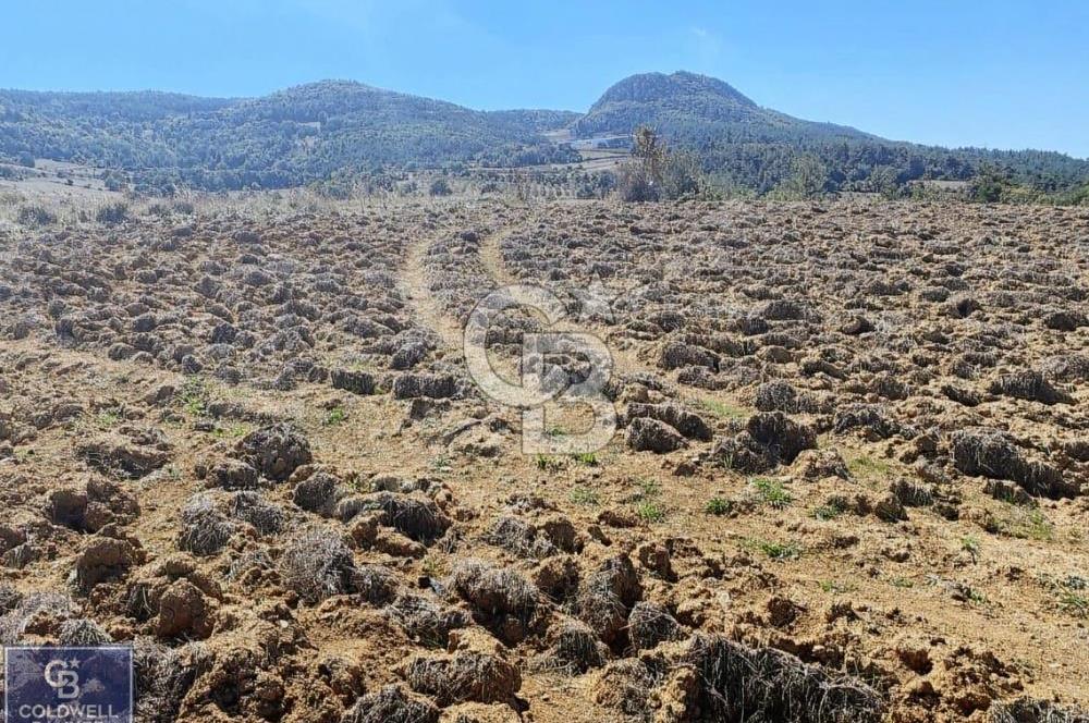 BİLECİK OSMANELİ AKÇAPINAR KÖYÜNDE 6208M2 TARLA