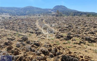 BİLECİK OSMANELİ AKÇAPINAR KÖYÜNDE 6208M2 TARLA