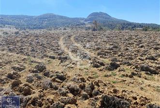 BİLECİK OSMANELİ AKÇAPINAR KÖYÜNDE 6208M2 TARLA