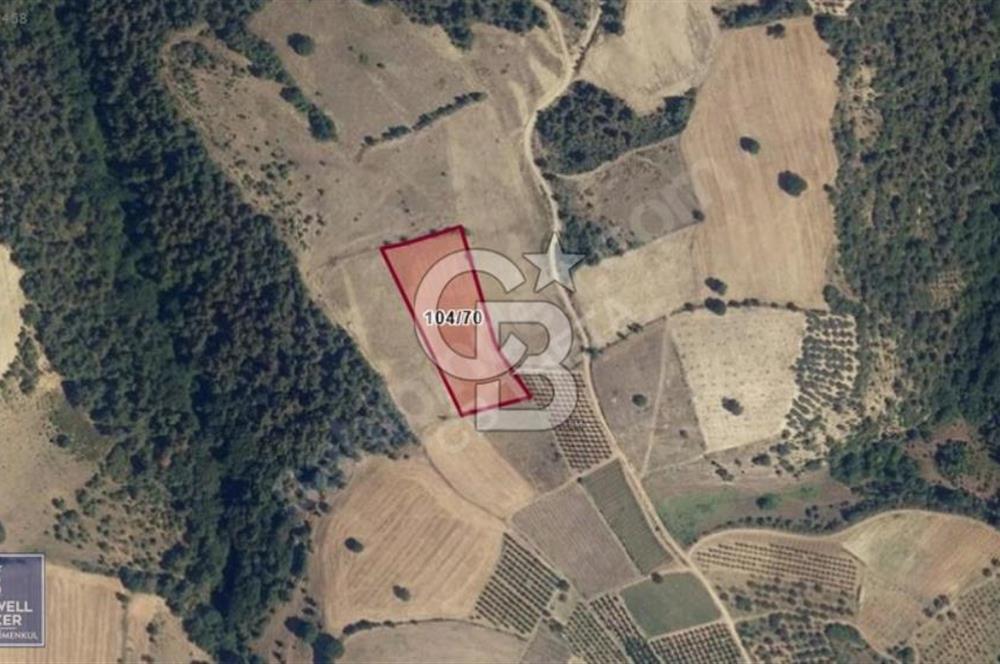 BİLECİK OSMANELİ AKÇAPINAR KÖYÜNDE 6208M2 TARLA