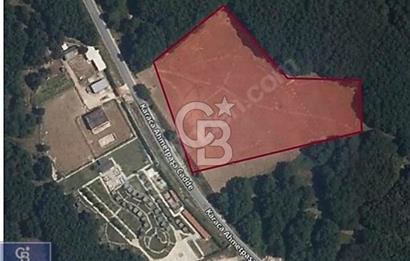 SİLİVRİ DANAMANDIRA'DA 10 DÖNÜM TARLA