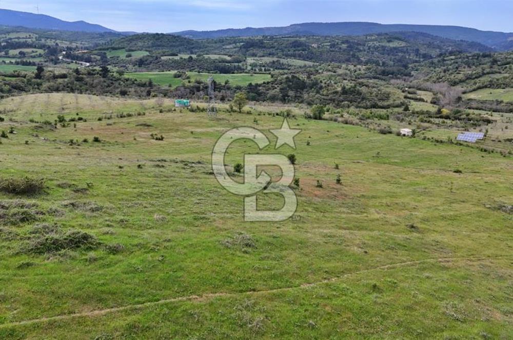 Lapseki Harmancık'ta 507 m² Hisseli Arsa Uygun Fiyatlı Yatırım