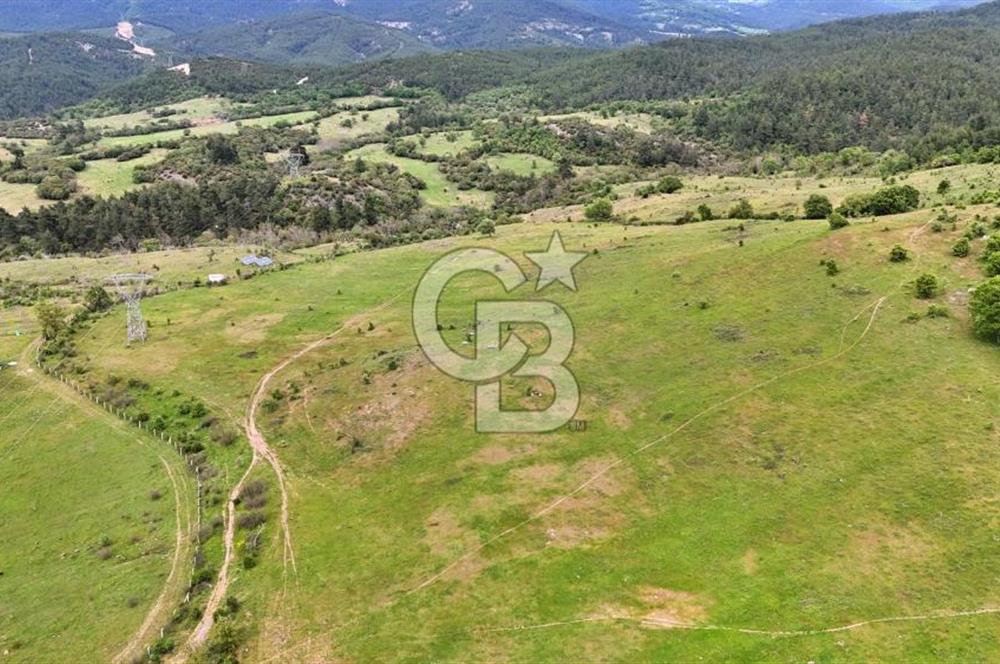 Lapseki Harmancık'ta 507 m² Hisseli Arsa Uygun Fiyatlı Yatırım
