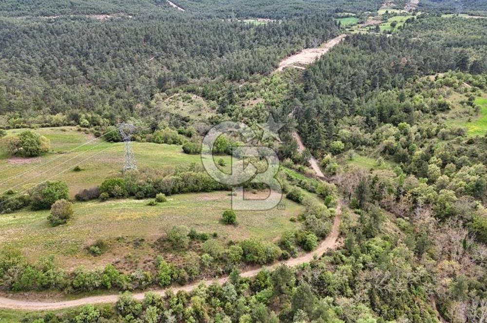 Lapseki Harmancık'ta 507 m² Hisseli Arsa Uygun Fiyatlı Yatırım