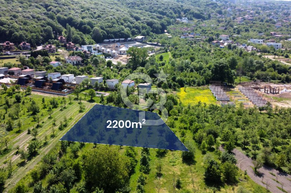CB AKADEMİ MAŞUKİYE SATILIK 2200 m2 VİLLA İMARLI KÖŞE ARSA