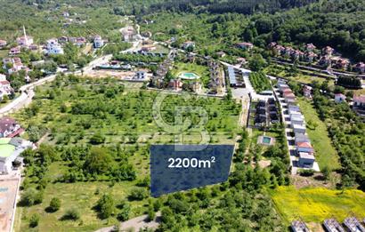 CB AKADEMİ MAŞUKİYE SATILIK 2200 m2 VİLLA İMARLI KÖŞE ARSA