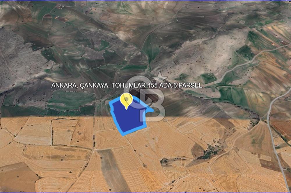 ARAÇ TAKASINA AÇIK ÇANKAYA TOHUMLAR DA 1870 M² SATILIK ARSA
