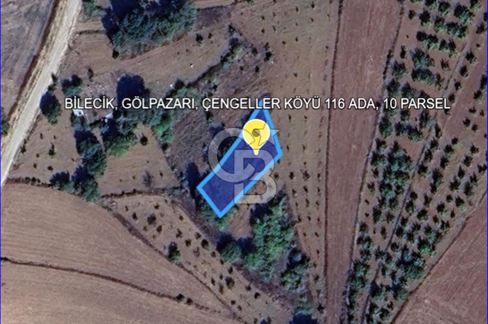 BİLECİK GÖLPAZARI ÇENGELLER KÖYÜ'NDE MÜSTAKİL TAPU 725 M² TARLA