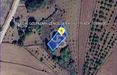 BİLECİK GÖLPAZARI ÇENGELLER KÖYÜ'NDE MÜSTAKİL TAPU 725 M² TARLA