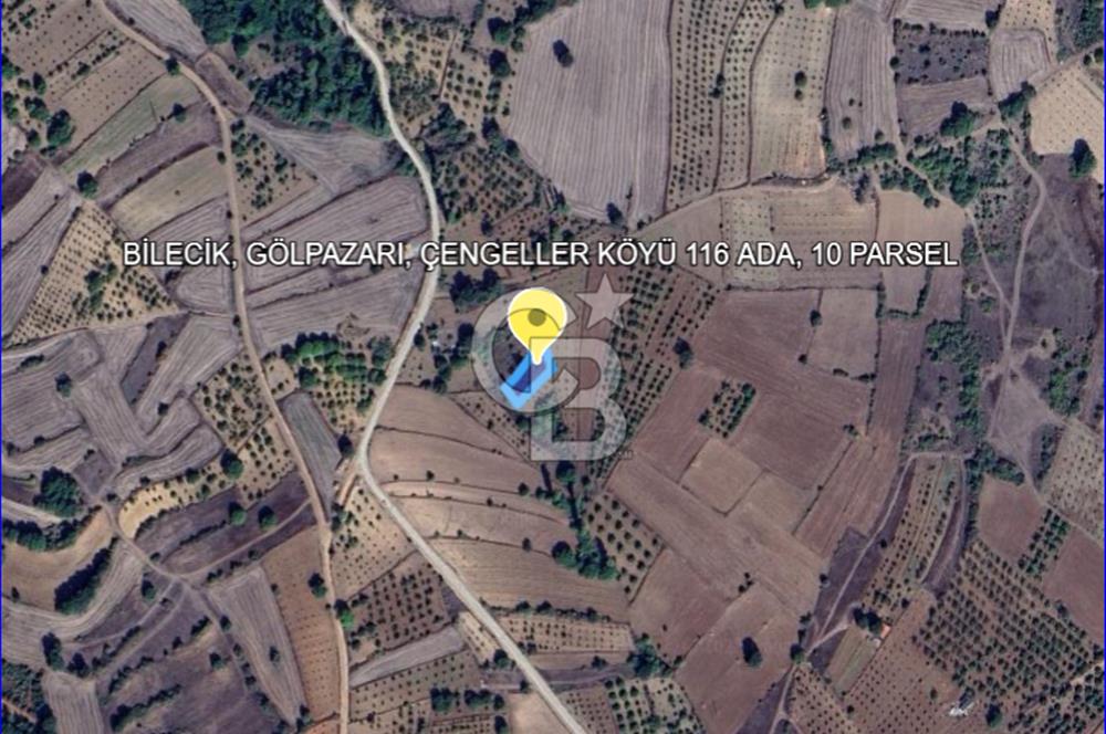 BİLECİK GÖLPAZARI ÇENGELLER KÖYÜ'NDE MÜSTAKİL TAPU 725 M² TARLA