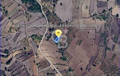BİLECİK GÖLPAZARI ÇENGELLER KÖYÜ'NDE MÜSTAKİL TAPU 725 M² TARLA