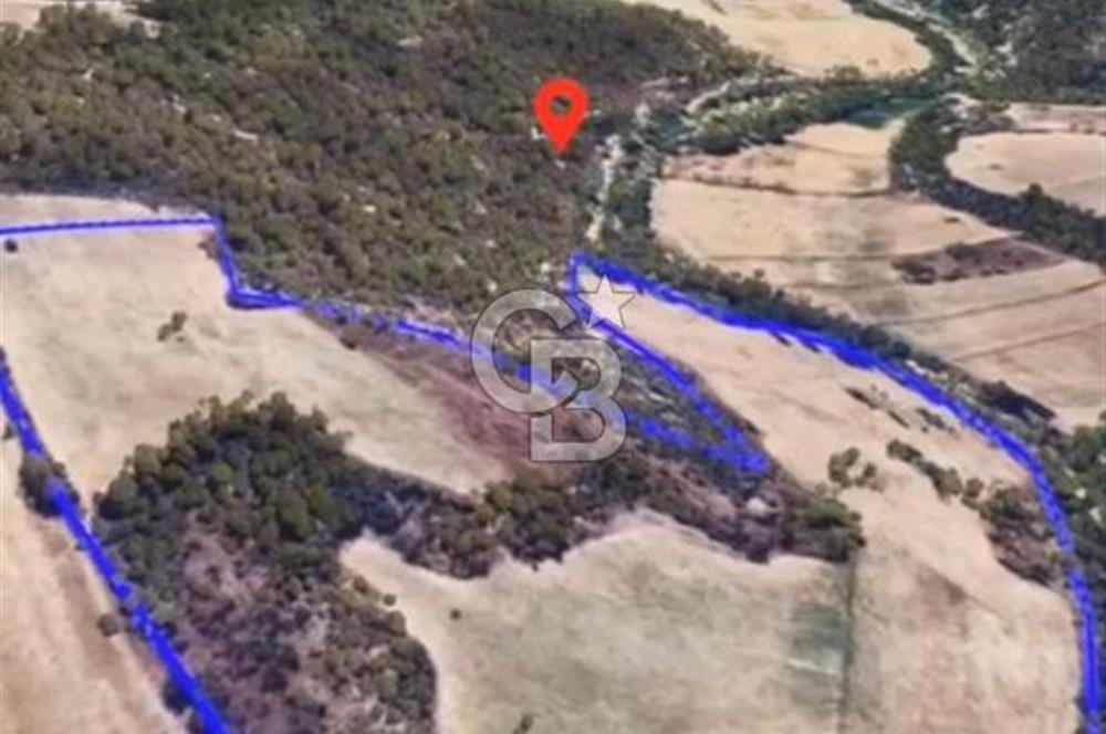 Manisa Selendi çanşa köyünde sulak tarla 
