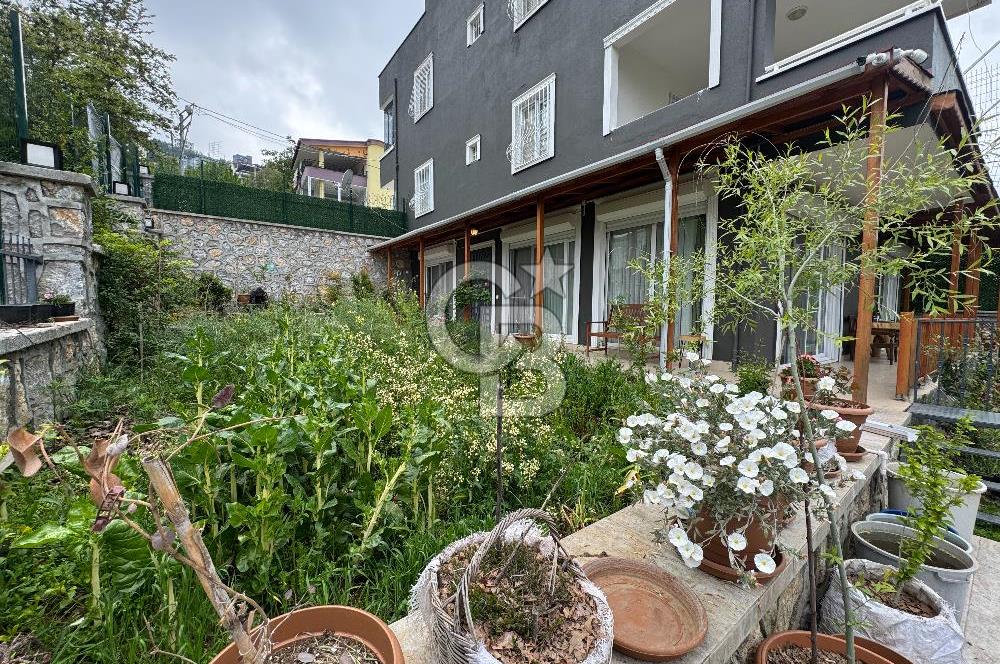 Mersin Toroslar Soğucak Yaylasında Yayla Evi