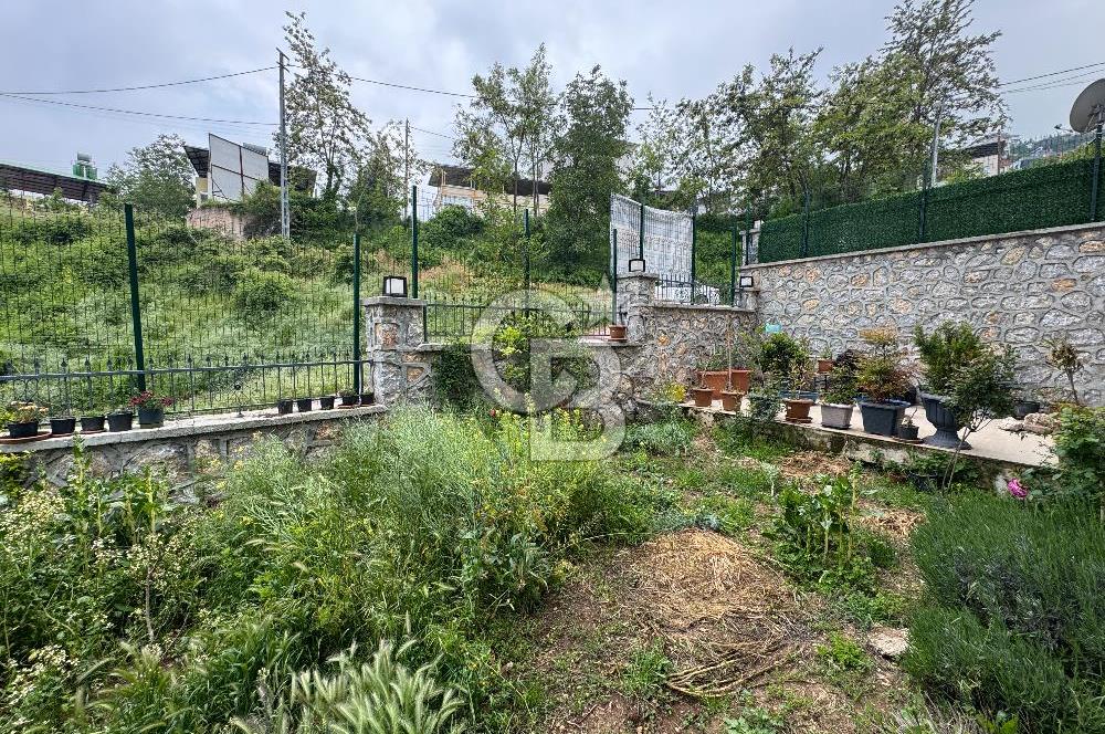 Mersin Toroslar Soğucak Yaylasında Yayla Evi