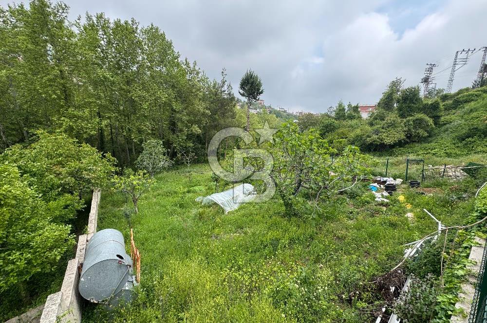 Mersin Toroslar Soğucak Yaylası İmarlı Arsa
