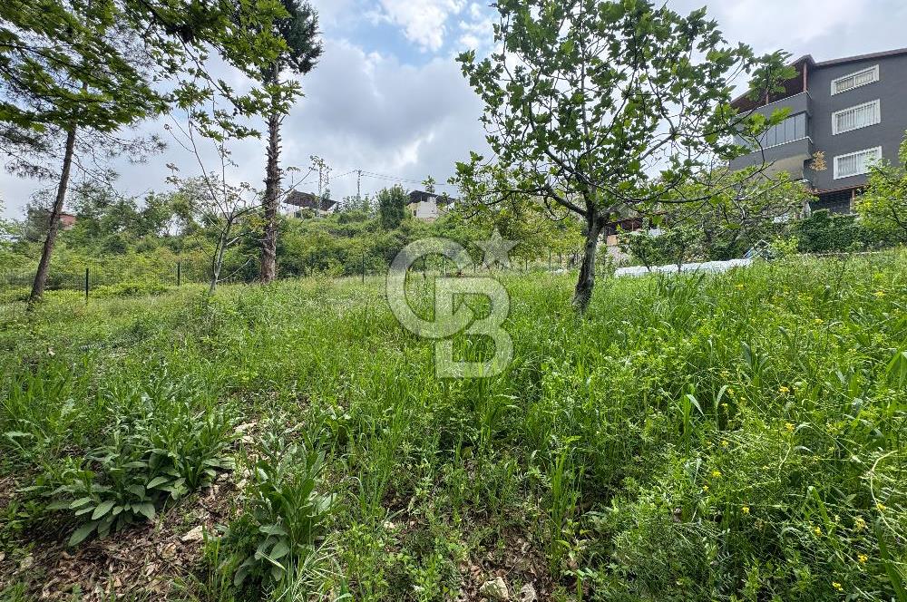 Mersin Toroslar Soğucak Yaylası İmarlı Arsa