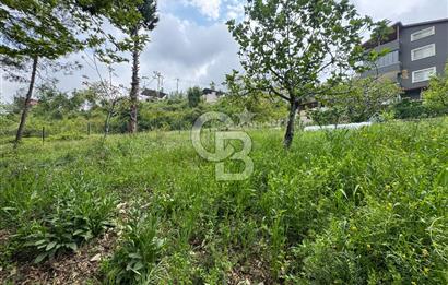 Mersin Toroslar Soğucak Yaylası İmarlı Arsa