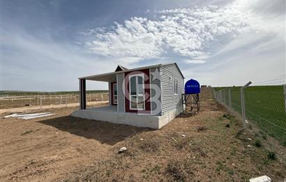 TEMELLİ ÇOKÖREN'DE 300 m²SATILIK KOOPERATİF HİSSELİ HOBİ BAHÇESİ