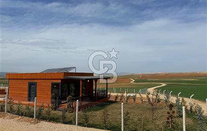 TEMELLİ ÇOKÖREN'DE 300 m²SATILIK KOOPERATİF HİSSELİ HOBİBAHÇESİ