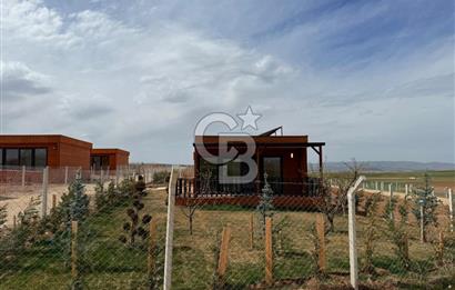 TEMELLİ ÇOKÖREN'DE 300 m²SATILIK KOOPERATİF HİSSELİ HOBİBAHÇESİ