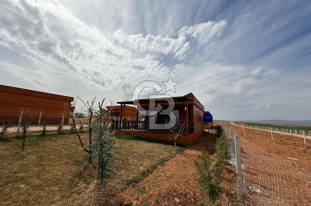 TEMELLİ ÇOKÖREN'DE 300 m²SATILIK KOOPERATİF HİSSELİ HOBİBAHÇESİ
