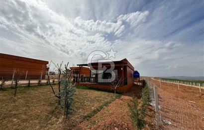 TEMELLİ ÇOKÖREN'DE 300 m²SATILIK KOOPERATİF HİSSELİ HOBİBAHÇESİ