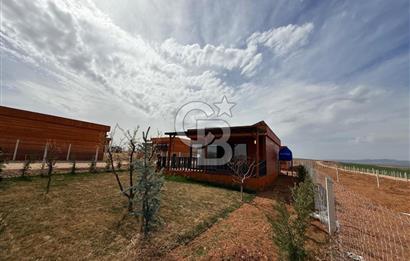 TEMELLİ ÇOKÖREN'DE 300 m²SATILIK KOOPERATİF HİSSELİ HOBİBAHÇESİ