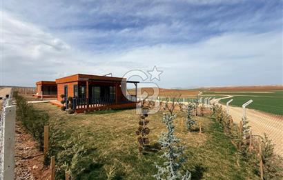 TEMELLİ ÇOKÖREN'DE 300 m²SATILIK KOOPERATİF HİSSELİ HOBİBAHÇESİ