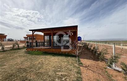 TEMELLİ ÇOKÖREN'DE 300 m²SATILIK KOOPERATİF HİSSELİ HOBİBAHÇESİ