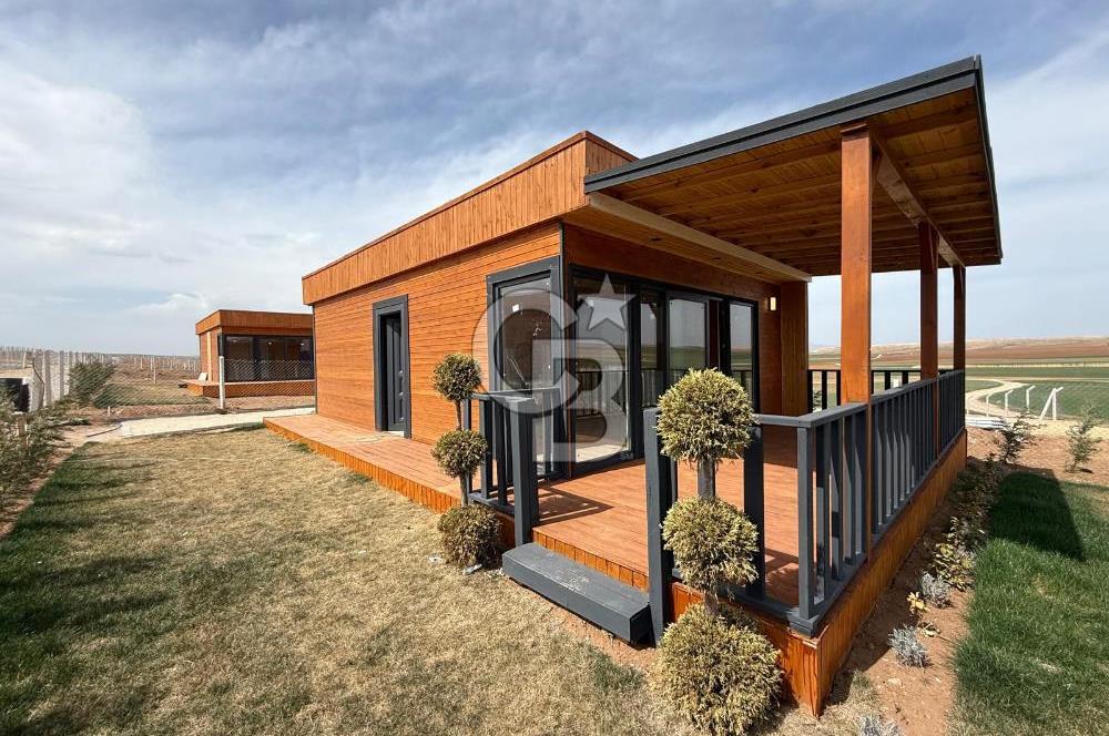 TEMELLİ ÇOKÖREN'DE 300 m²SATILIK KOOPERATİF HİSSELİ HOBİBAHÇESİ
