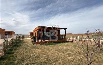 TEMELLİ ÇOKÖREN'DE 300 m²SATILIK KOOPERATİF HİSSELİ HOBİBAHÇESİ
