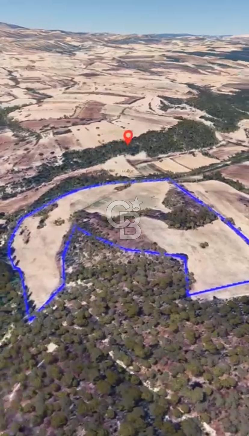 Manisa Selendi çanşa köyünde sulak tarla 