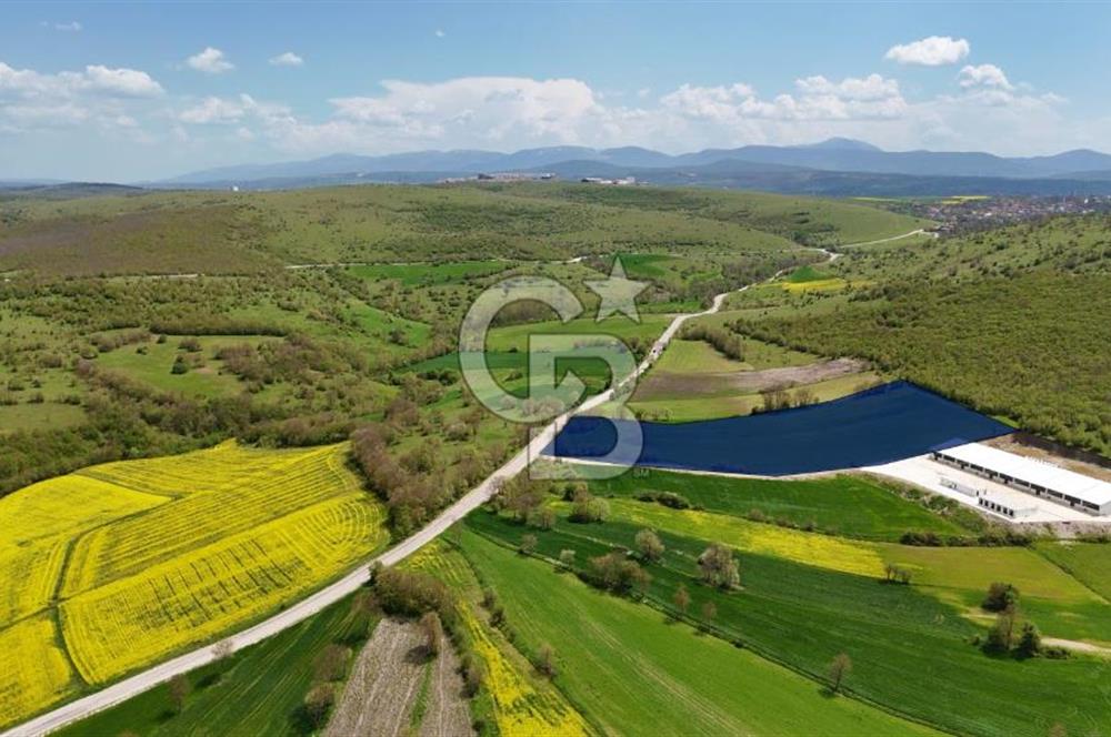 HAVZA KARAMEŞE DE DEV YATIRIM FIRSATI YOLA CEPHE SATILIK TARLA