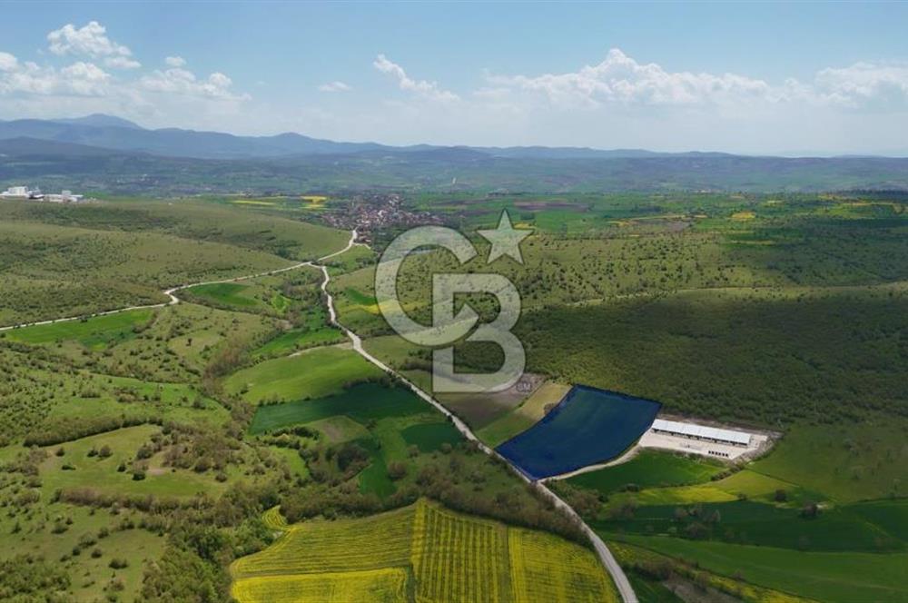 HAVZA KARAMEŞE DE DEV YATIRIM FIRSATI YOLA CEPHE SATILIK TARLA