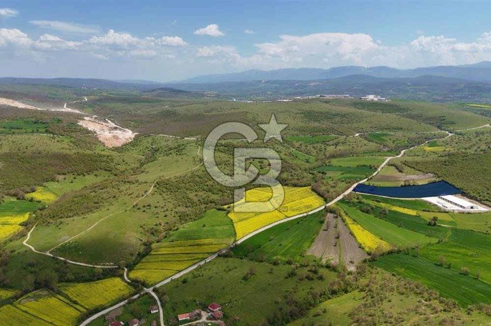 HAVZA KARAMEŞE DE DEV YATIRIM FIRSATI YOLA CEPHE SATILIK TARLA