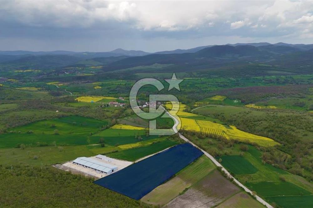 HAVZA KARAMEŞE DE DEV YATIRIM FIRSATI YOLA CEPHE SATILIK TARLA