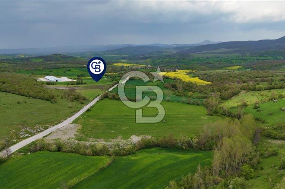HAVZA KARAMEŞE DE DEV YATIRIM FIRSATI YOLA CEPHE SATILIK TARLA