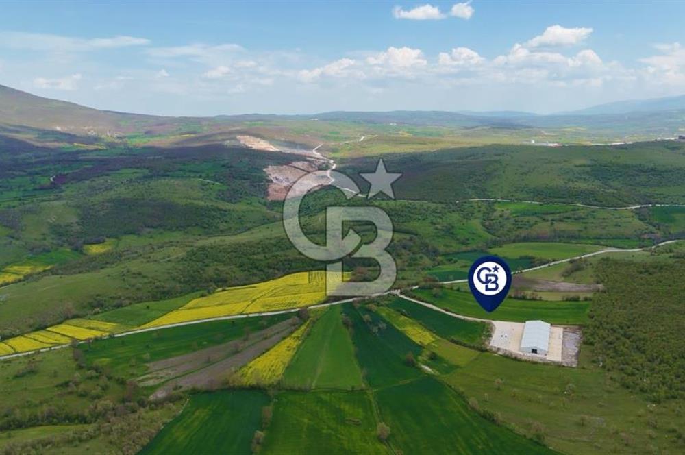 HAVZA KARAMEŞE DE DEV YATIRIM FIRSATI YOLA CEPHE SATILIK TARLA