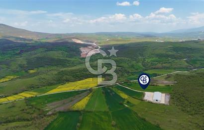 HAVZA KARAMEŞE DE DEV YATIRIM FIRSATI YOLA CEPHE SATILIK TARLA