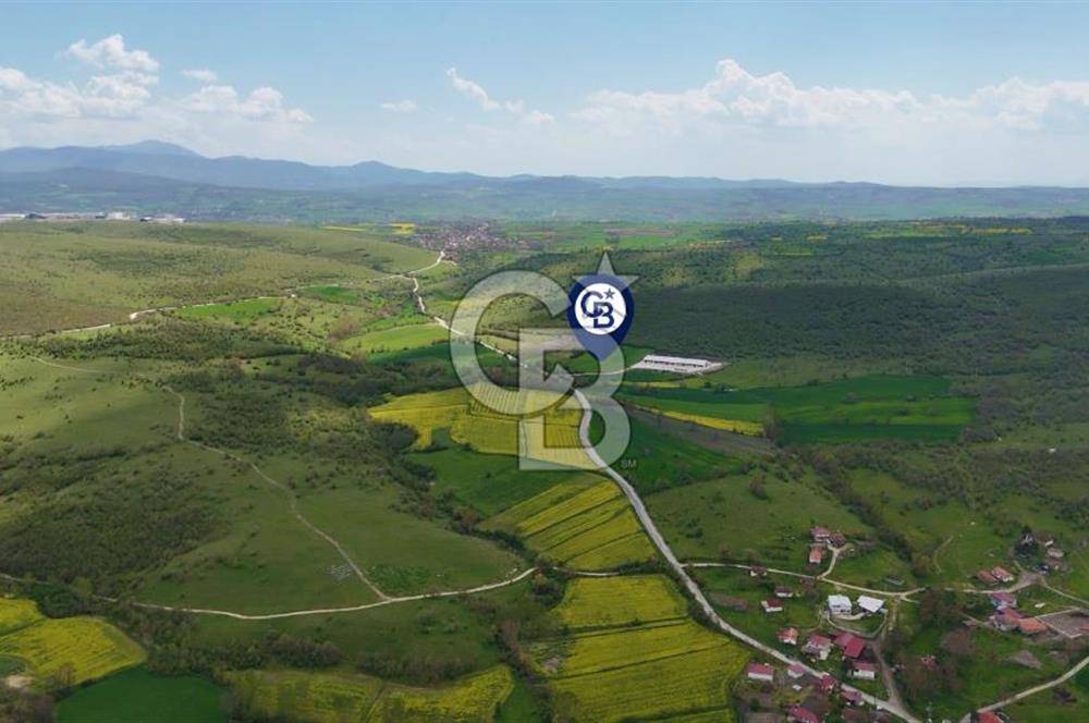 HAVZA KARAMEŞE DE DEV YATIRIM FIRSATI YOLA CEPHE SATILIK TARLA