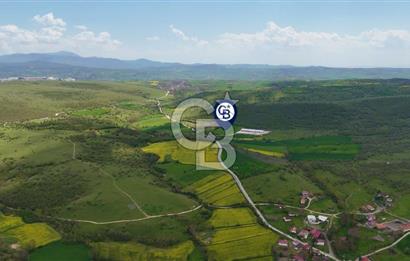 HAVZA KARAMEŞE DE DEV YATIRIM FIRSATI YOLA CEPHE SATILIK TARLA