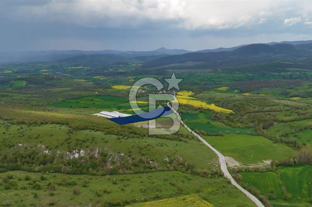 HAVZA KARAMEŞE DE DEV YATIRIM FIRSATI YOLA CEPHE SATILIK TARLA