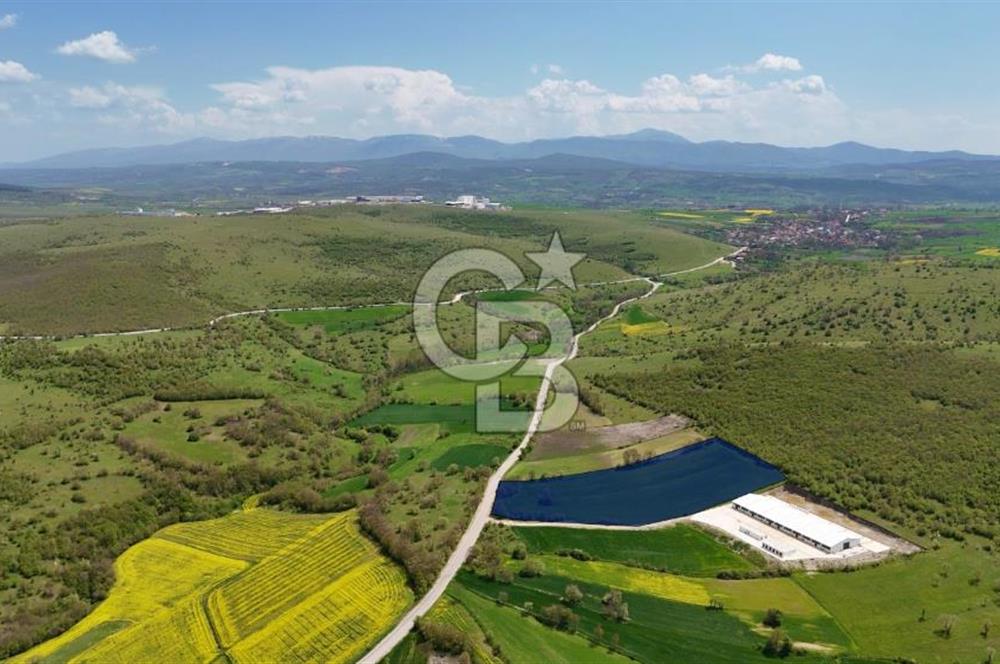 HAVZA KARAMEŞE DE DEV YATIRIM FIRSATI YOLA CEPHE SATILIK TARLA