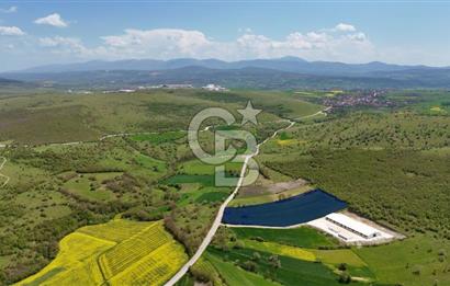 HAVZA KARAMEŞE DE DEV YATIRIM FIRSATI YOLA CEPHE SATILIK TARLA