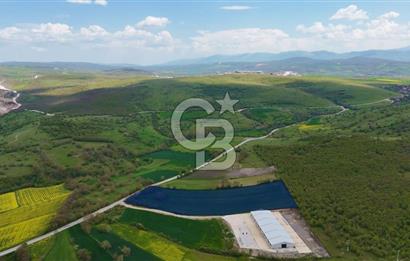 HAVZA KARAMEŞE DE DEV YATIRIM FIRSATI YOLA CEPHE SATILIK TARLA