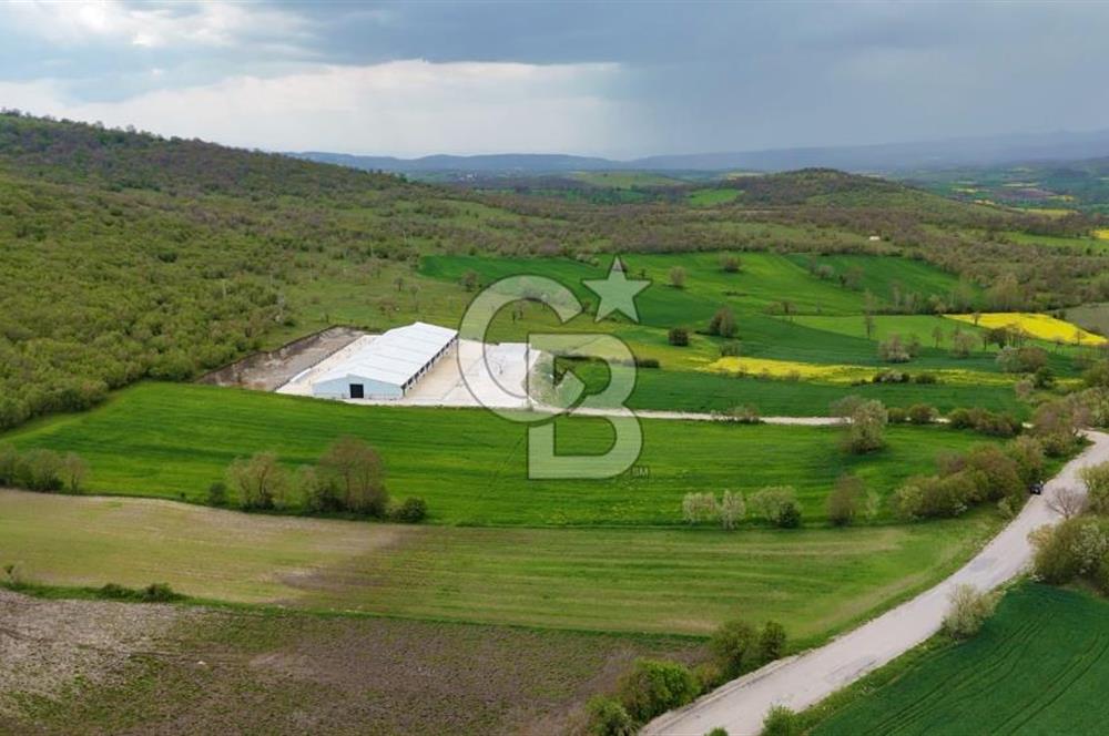 HAVZA KARAMEŞE DE DEV YATIRIM FIRSATI YOLA CEPHE SATILIK TARLA