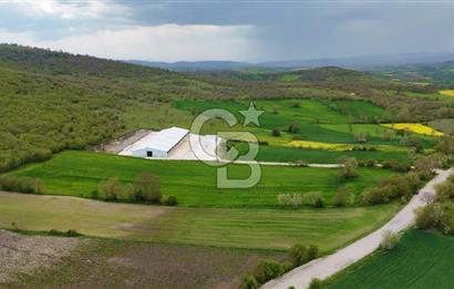 HAVZA KARAMEŞE DE DEV YATIRIM FIRSATI YOLA CEPHE SATILIK TARLA